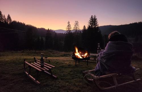 Feldberg Apartamento | Alte Schmiede