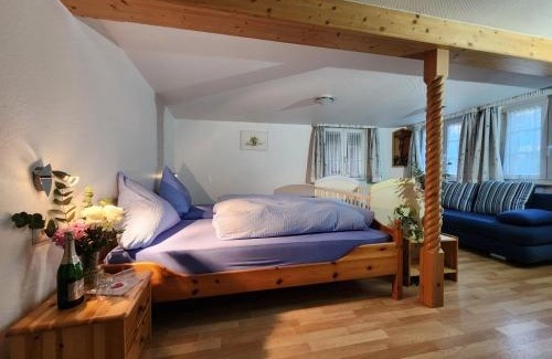 Feldberg Apartamento | Alte Schmiede