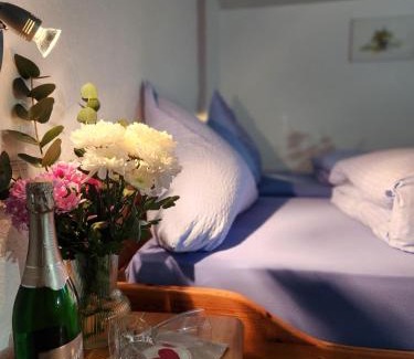 Feldberg Apartamento | Alte Schmiede