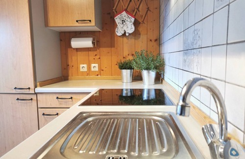 Bodenmais Apartamento | Altes Forsthaus - Ferienwohnung Dachsbau