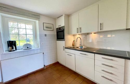 Großmorsum Apartamento | Altes Friesenhaus Scheune
