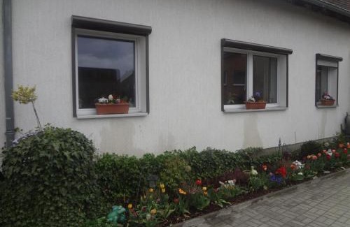 Leibsch Apartamento | Alteschule15