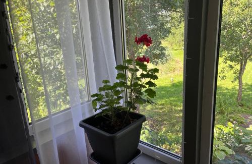 Haljala Parish Apartamento | Altja Villa-Cottage with sauna
