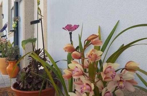 Lapa Villa | Alto da lapa Luxury house free 1 parking place