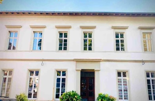 Mainz-Bingen Apartamento | Altstadt Pur!an der Wunderschönen Katharinenkirche