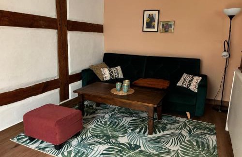 Neuruppin Apartamento | Altstadt & See & Garten Haustiere willkommen
