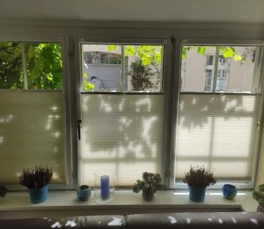 Altstadt Apartamento | Altstadtnest