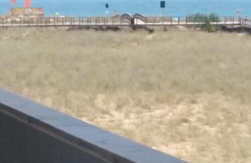 Torralta Apartamento | Alvor Beach Front Line Bay