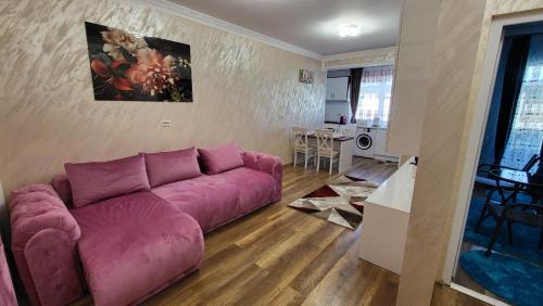 Scheia Apartamento | Aly Apartaments Suceava