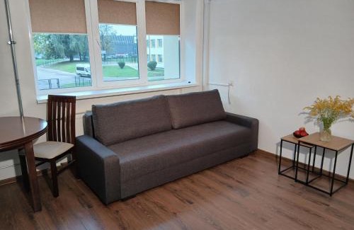 Alytus Apartamento | Alytus Studio 45