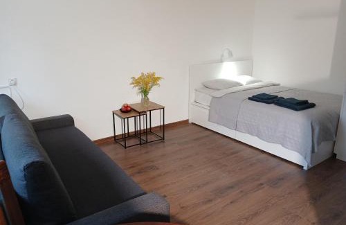 Alytus Apartamento | Alytus Studio 45