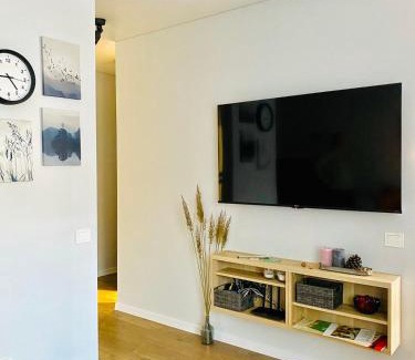 Alytus Apartamento | Alyvų tako studija