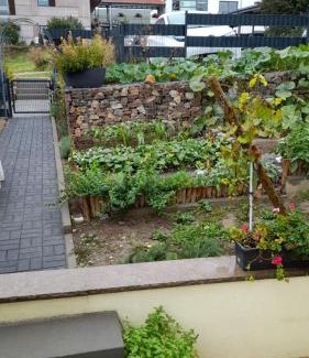 Mainz-Bingen Apartamento | Am Dollespark