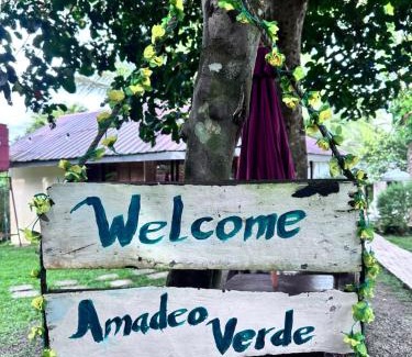 Amadeo Otro | Amadeo Verde