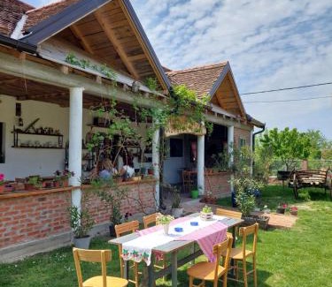 Vojvodina Apartamento | Amanet House Zasavica