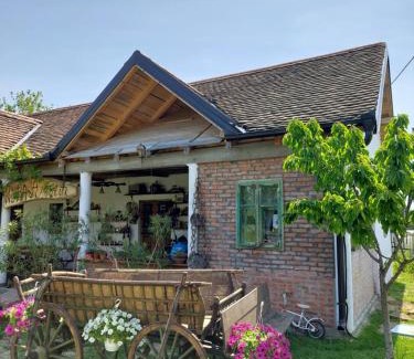 Vojvodina Apartamento | Amanet House Zasavica