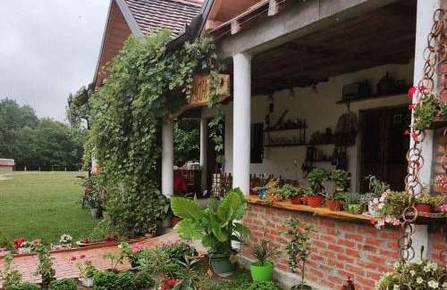 Vojvodina Apartamento | Amanet House Zasavica