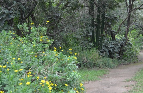 Thorny Bush Game Reserve Casa | Tienda de campaña Amanzimlotzi Riverside Bush para 3 adultos en Limpopo, Kruger Park