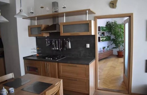 Zizkov Apartamento | amazing apartment in city center for great price