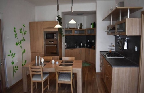 Zizkov Apartamento | amazing apartment in city center for great price