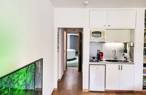 Bissone Apartamento | Amazing Apt. 505 by Interhome