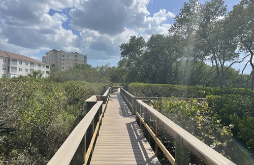 Palmetto Apartamento | Amazing Bay Views 25 min. drive to the beach