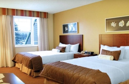 South Lake Tahoe Complejo | Amazing Deal! Studio in South Lake Tahoe with Indoor/Outdoor Pool