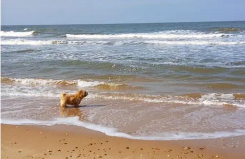 Chapel Saint Leonards Casa | Amazing Family Cottage Just mins to Beach & Attractions, 3 bed, Sleeps 5, Large Garden, Off Road Private Parking, Fab Free WiFi & Pets are Welcome too! The Perfect Family holiday Getaway!
