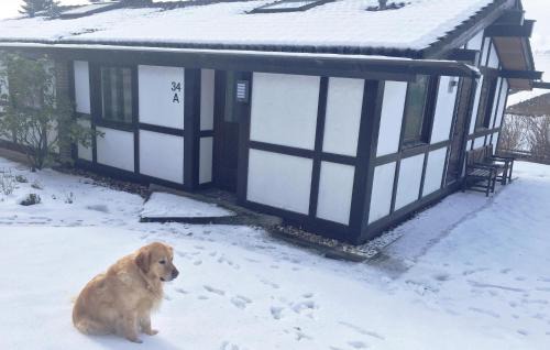 Feriendorf Hennesee Casa | Amazing Home In Meschede With Wifi