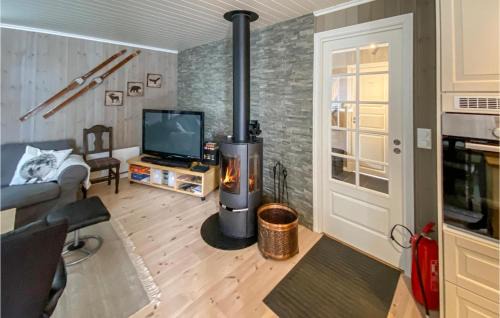 Rauland Casa | Amazing Home In Rauland With Wifi