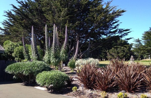 Mendocino Casa | LUJO PRIVADO "INCREÍBLE FRENTE AL MAR" en Mendocino