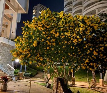 North Pattaya Apartamento | Amazing Spacious Seaview Condo