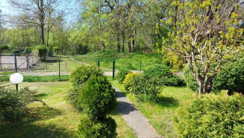 Sombor Casa | Amazonka
