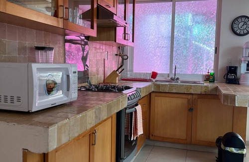 Coyoacan Apartamento | Ámbar Loft