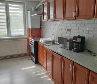 Ocna Mures Apartamento | AME Home Apartament