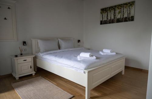 Jibert Hotel | Amfiteatro