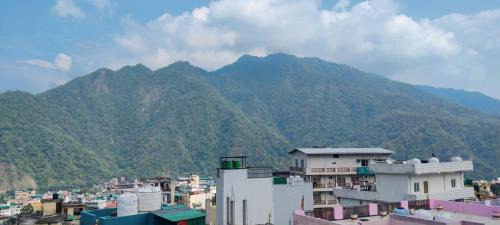 Tapovan Casa | Amigos homestay 5