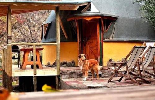 Melocoton Apartamento | ammonite aventura del Maipo casa entera reserva 50 por ciento anticipado