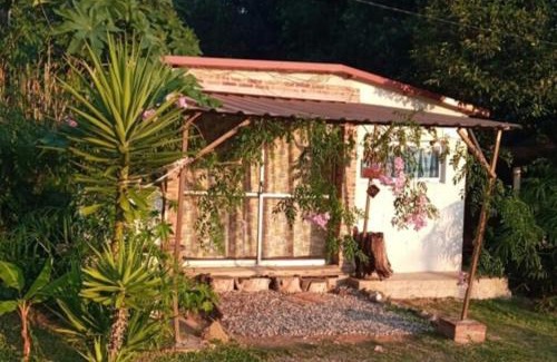 San Luis Casa | Amor amor
