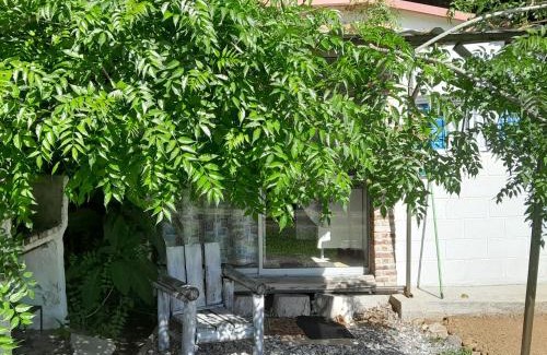 San Luis Casa | Amor amor