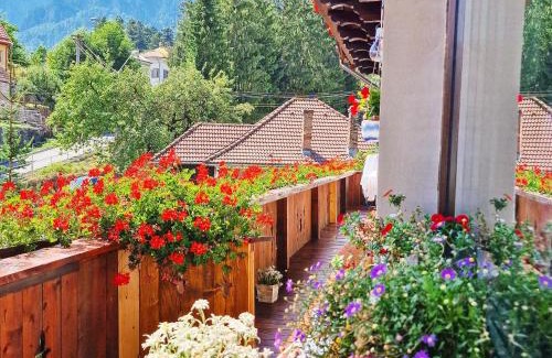 Busteni Apartamento | Amor Tirol Bușteni