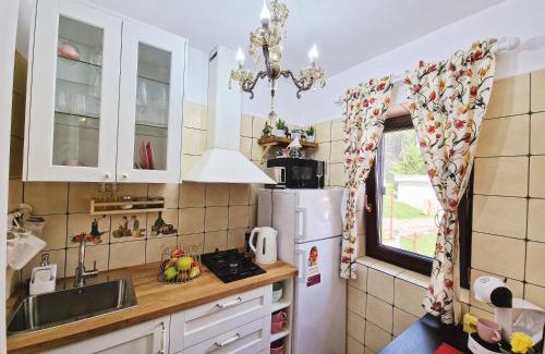 Busteni Apartamento | Amor Tirol Bușteni