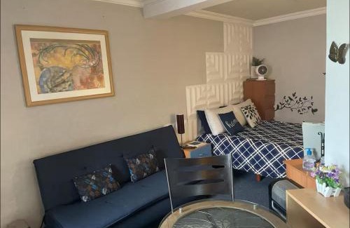 Metepec Apartamento | Amplia Habitación tipo Ejecutiva con baño y acceso privados