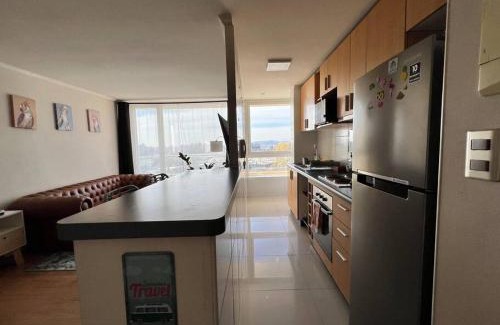 Concepcion Apartamento | Amplio Departamento Parque Urbano