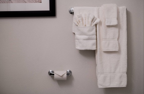 Florenceville-Bristol Hotel | Amsterdam Inn & Suites, Ascend Hotel Collection