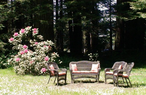 Crescent City Cabaña | Cabaña Amy's Redwood