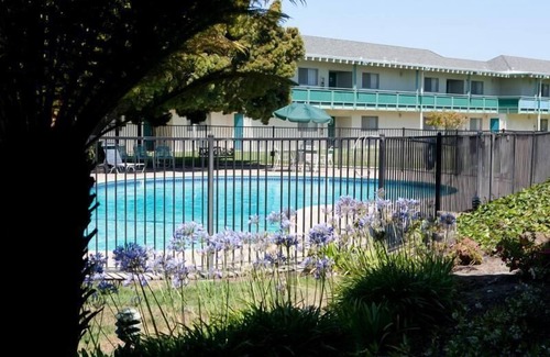 East End Apartamento | CERCA DE ATRACCIONES! ACOGEDOR ESTUDIO SUITE, PISCINA!