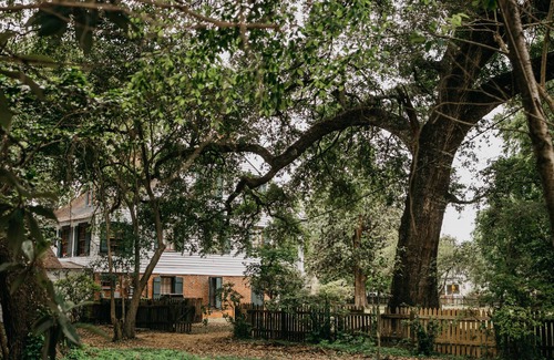 Lafayette Casa | Una auténtica experiencia cajún en el corazón de Lafayette