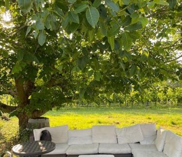 Sainte-Terre Casa | An authentic place of heaven near St Emilion