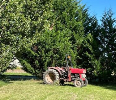 Sainte-Terre Casa | An authentic place of heaven near St Emilion